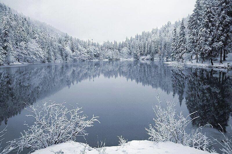 Зимова казка Карпат: опубліковані приголомшливі фото озера Синевир