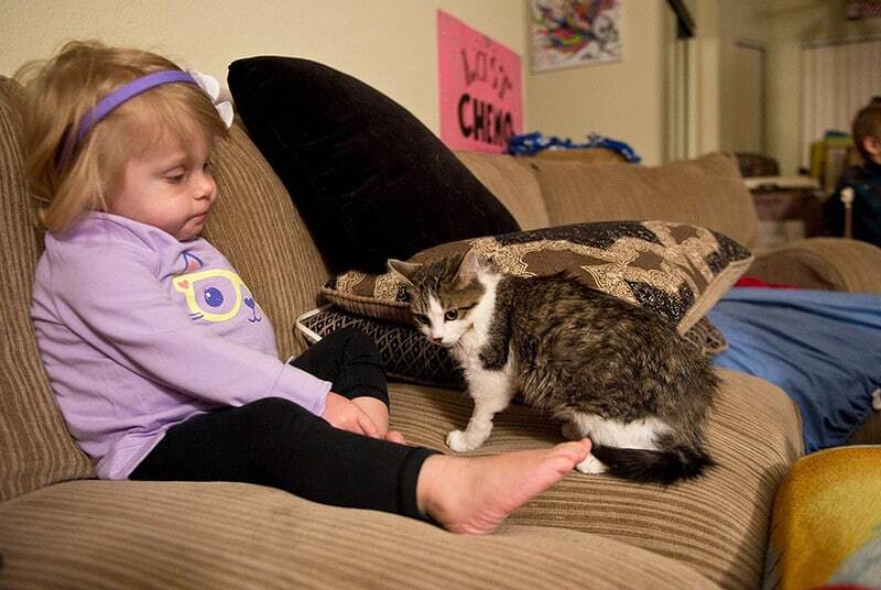 Это судьба! Девочке с ампутированной рукой подарили особенного котенка: фото и видеофакт