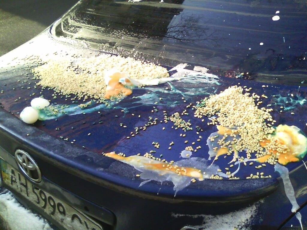 Зеленка, клей и яйца: киевляне жестоко проучили "героя парковки", опубликованы фото