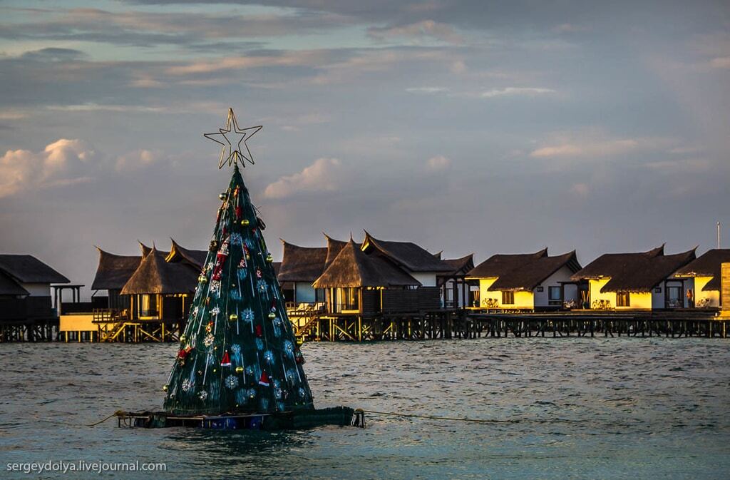 Санта-Клаус в ластах и елка под водой: как выглядит Новый год на Мальдивах