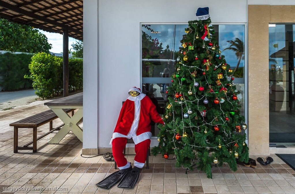 Санта-Клаус в ластах и елка под водой: как выглядит Новый год на Мальдивах