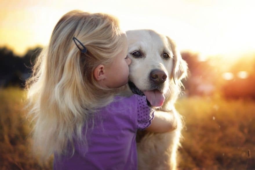 Фотограф делает красочные снимки своей собаки и ее друзей: трогательная подборка