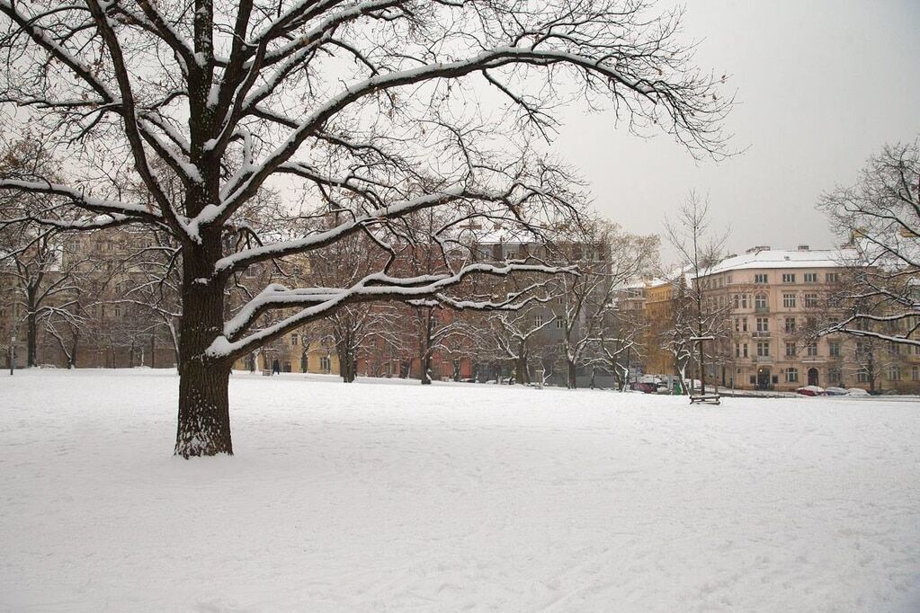 Прилетіла "Снігова королева": блогер показав знімки зимової Праги
