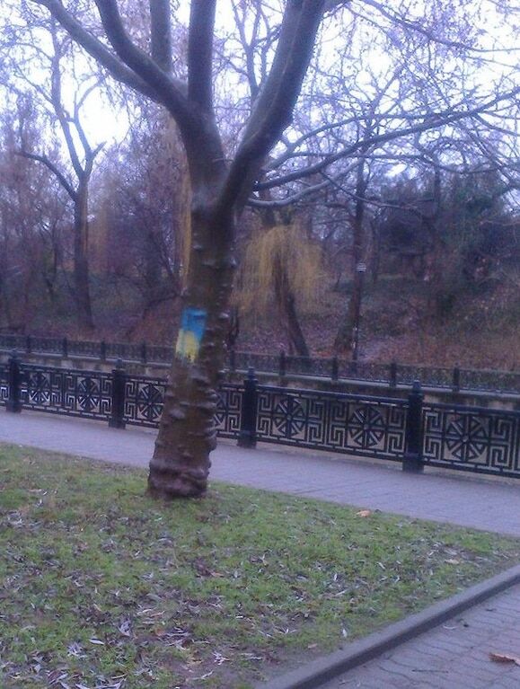 На зло оркам: парк Сімферополя прикрасили прапорами України. Фотофакт