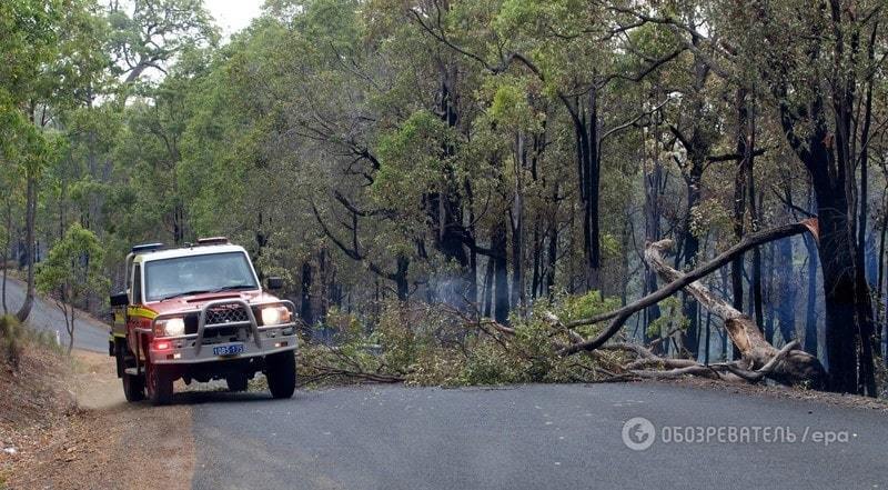Лесной пожар в Австралии уничтожил десятки домов: фоторепортаж