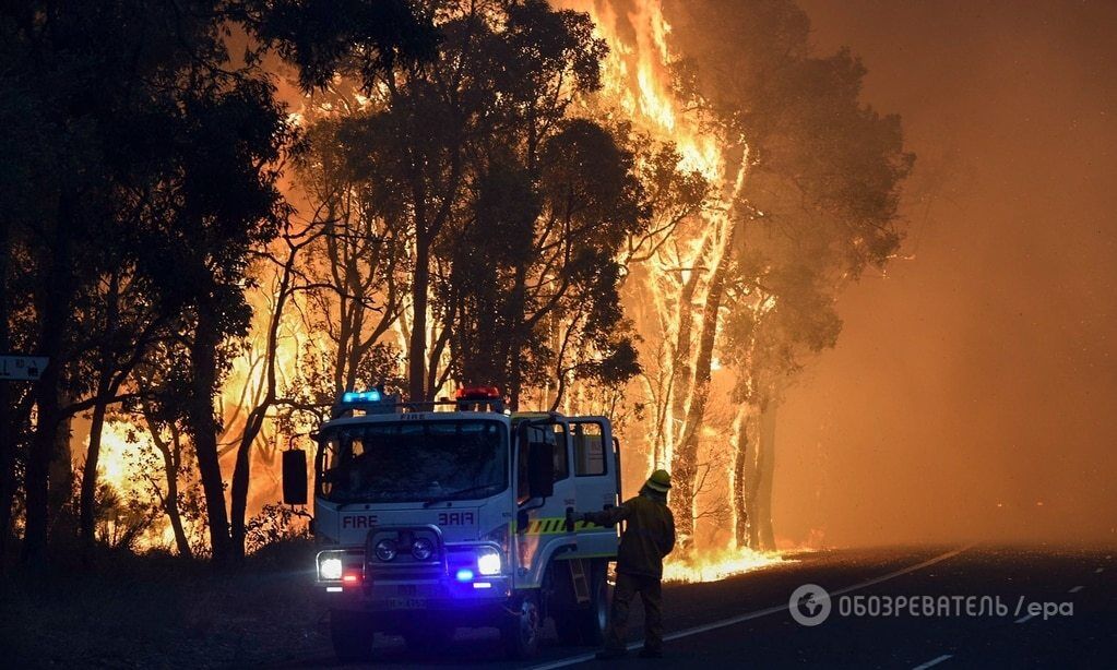 Лісова пожежа в Австралії. Знищені десятки будинків: фоторепортаж