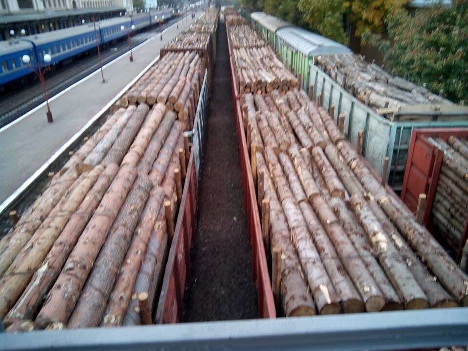 Это ж целый лес: в сети показали масштабы вывоза кругляка в Ивано-Франковске. Опубликованы фото