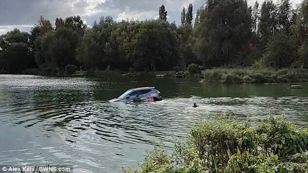 В сети показали видео отчаянного спасения пенсионера и его пса из тонущей машины. Опубликованы фото и видео