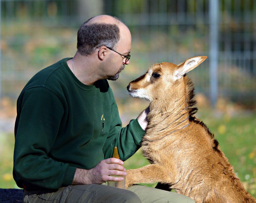 В мире животных: топ-12 лучших зоопарков планеты