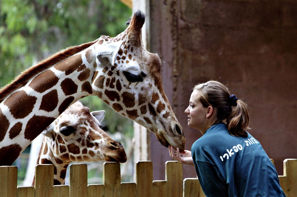 В мире животных: топ-12 лучших зоопарков планеты