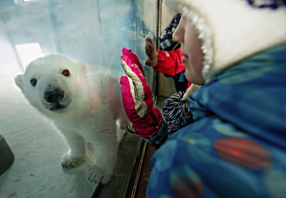 В мире животных: топ-12 лучших зоопарков планеты