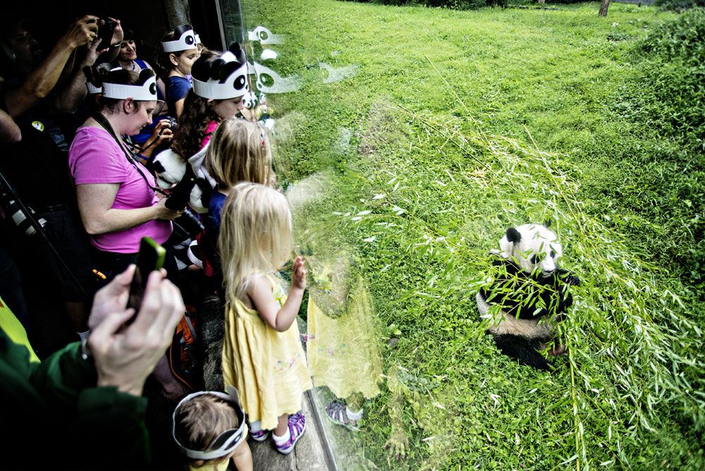 В мире животных: топ-12 лучших зоопарков планеты