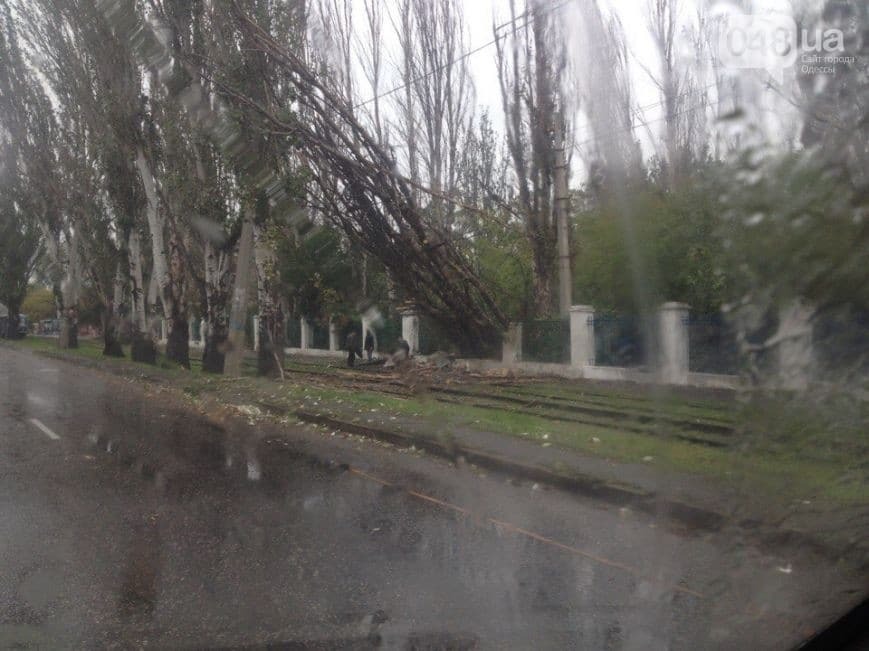 Деревопад, руйнування і потопи: на Одещину обрушився шторм