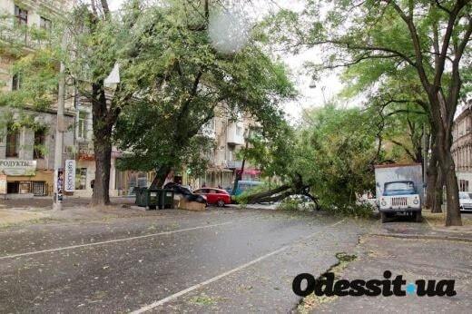 Деревопад, разрушения и потопы: на Одесщину обрушился мощный шторм