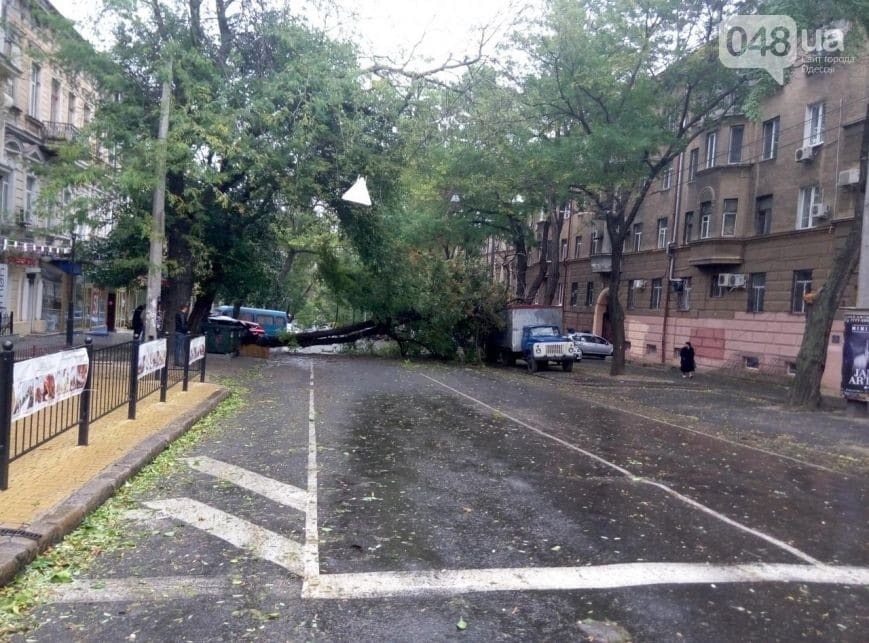 Деревопад, разрушения и потопы: на Одесщину обрушился мощный шторм