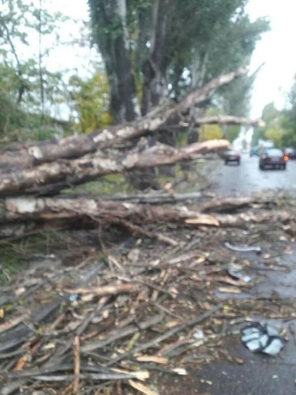 Деревопад, руйнування і потопи: на Одещину обрушився шторм