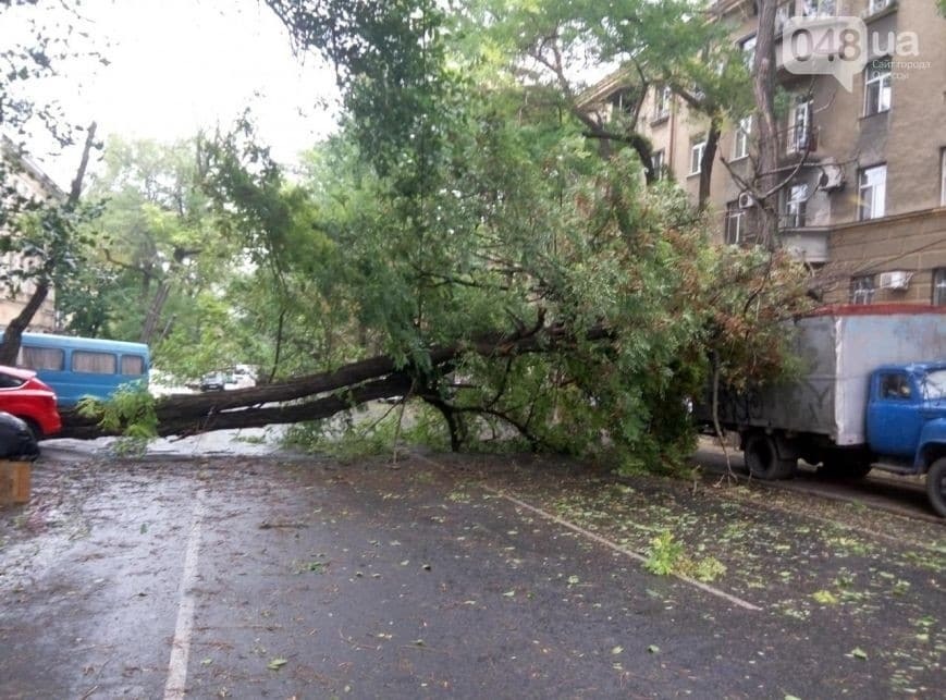 Деревопад, руйнування і потопи: на Одещину обрушився шторм