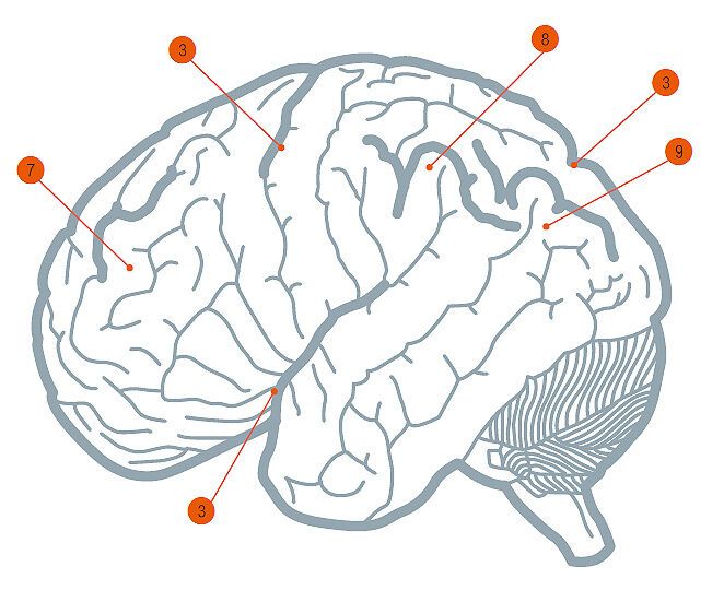 Раскрыта тайна фрески Микеланджело "Сотворении Адама": топ-9 символов