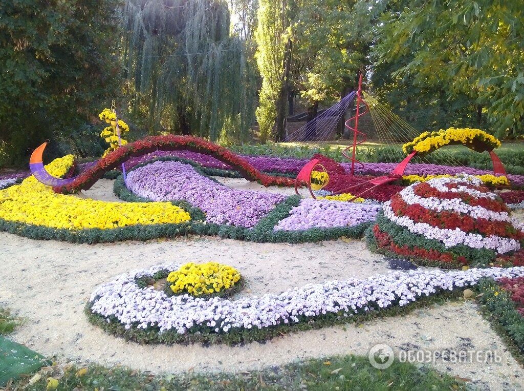 Выставка хризантем: в киевском парке зазвучали "мелодии осени"