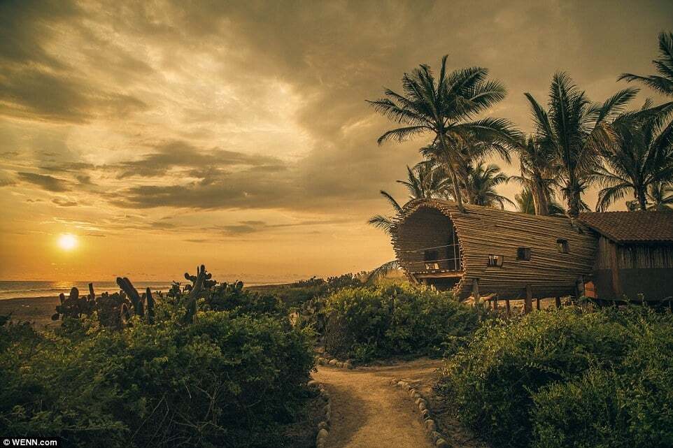 Райское местечко: роскошный бамбуковый дом на дереве