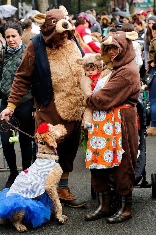 Собачий Хэллоуин: в Нью-Йорке смешно приодели животных к празднику