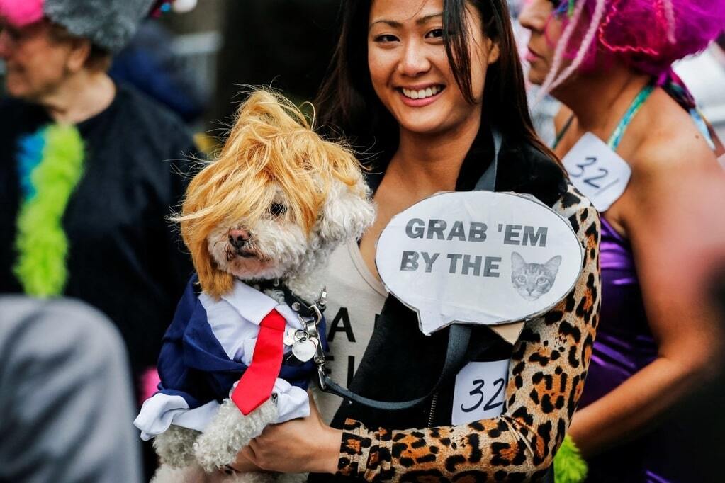 Собачий Хэллоуин: в Нью-Йорке смешно приодели животных к празднику
