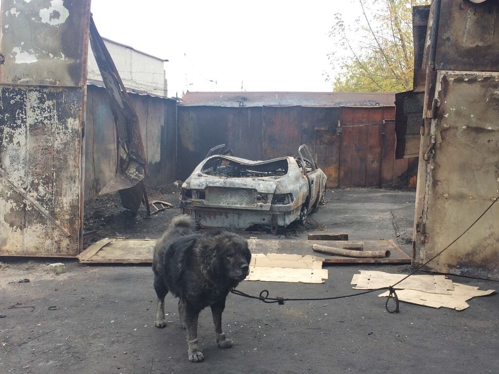 В Запорожье сожгли шиномонтаж и два авто