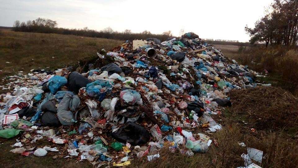 На Житомирщине возле международной трассы выбросили тонны мусора из Львова