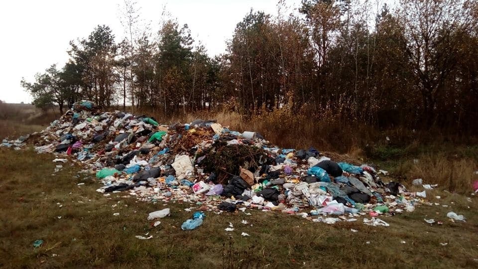 На Житомирщине возле международной трассы выбросили тонны мусора из Львова