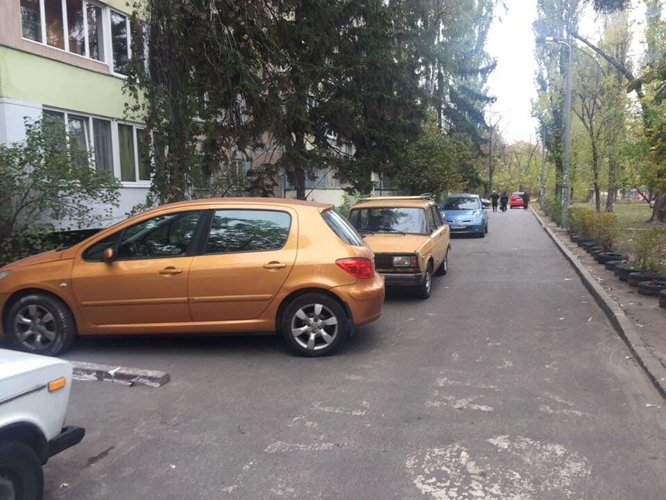 Хозяин – дура: киевляне "прославили" героя парковки в соцсети