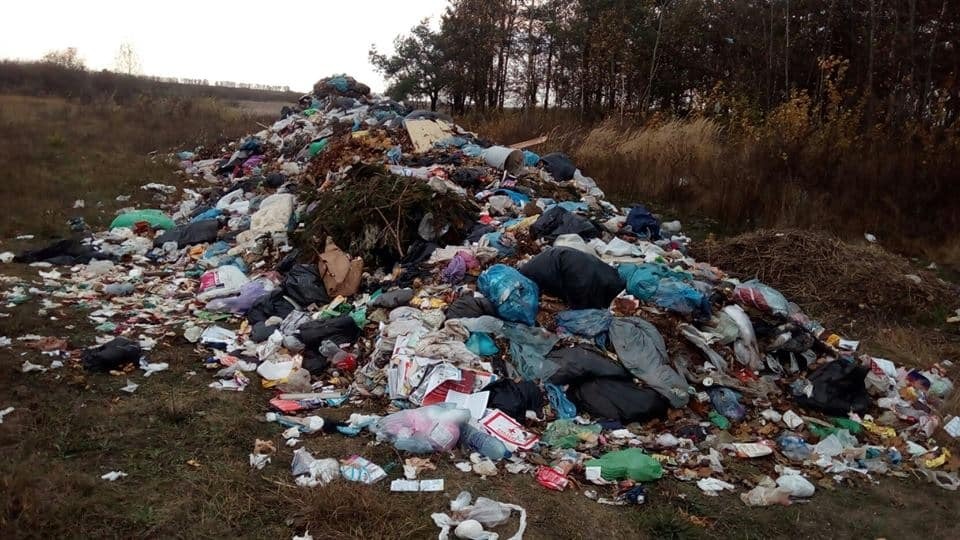 На Житомирщине возле международной трассы выбросили тонны мусора из Львова