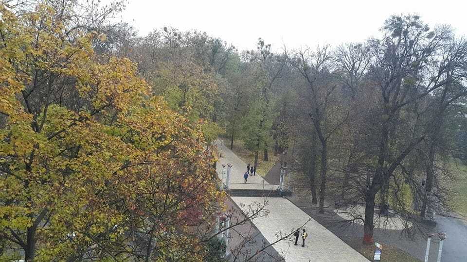 Зима вже близько: в Україні випав перший сніг