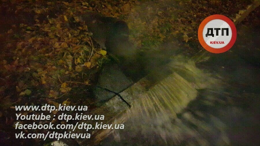 "Ниагарский водопад" из кипятка: в Киеве прорыв трубы затопил заправку