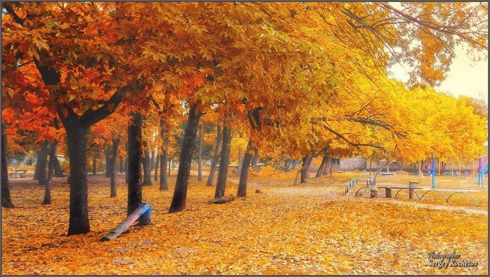 Осінь у Луганську: тепла ковдра із золотого листя укутала окуповане місто