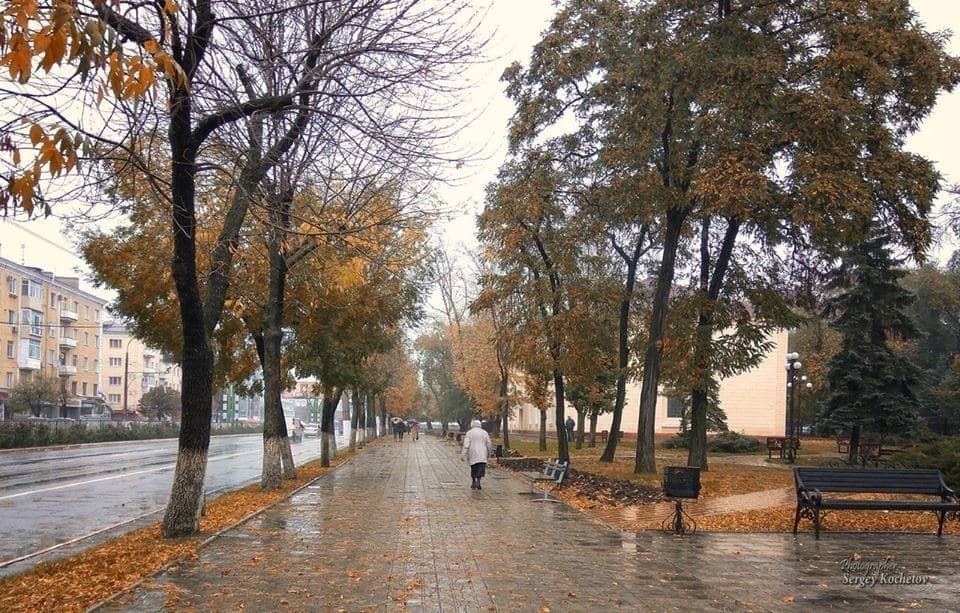 Осінь у Луганську: тепла ковдра із золотого листя укутала окуповане місто