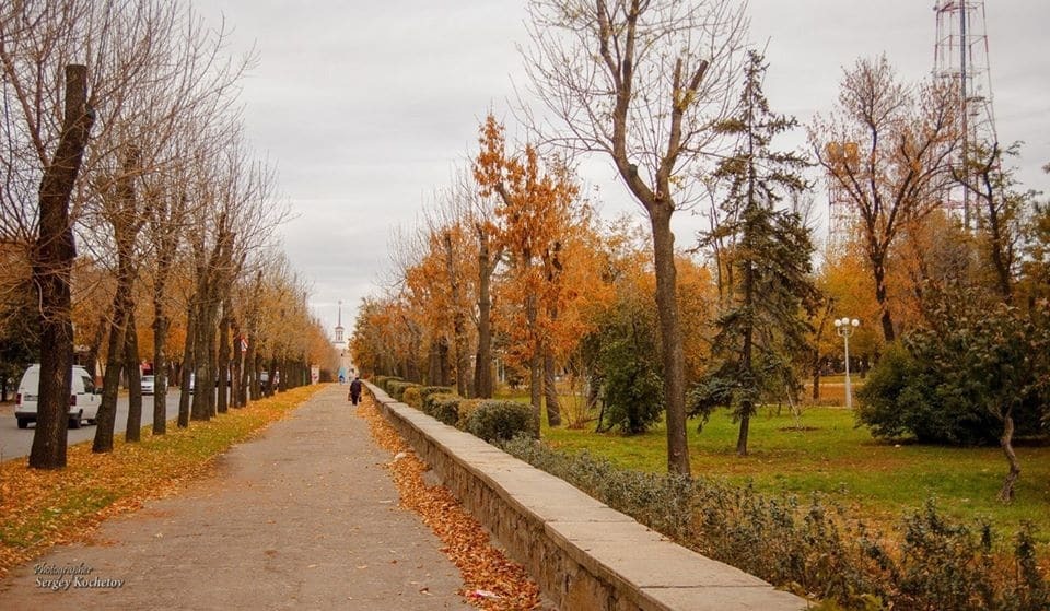 Осень в Луганске: теплый плед из золотых листьев укутал военный город