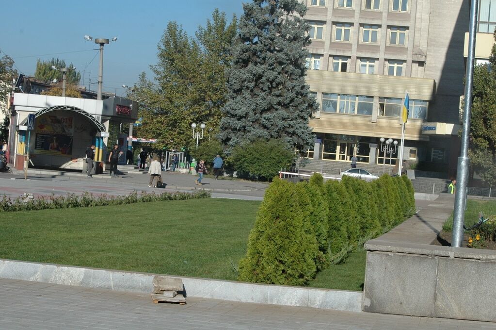 В Запорожье на площади Героев "выросли" зеленые клумбы