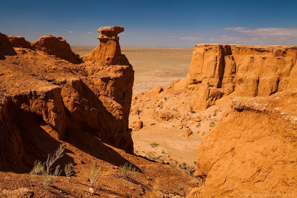 Кладбище динозавров: удивительное место в пустыне Гоби