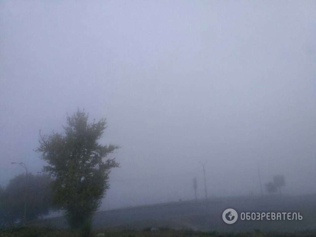 Киев с утра окутал густой туман: опубликованы фото и видео