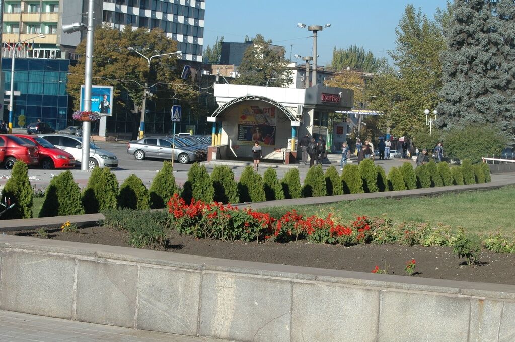 В Запорожье на площади Героев "выросли" зеленые клумбы