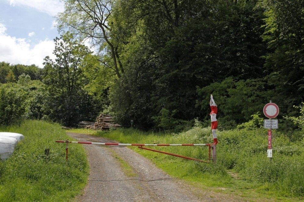 Перевір себе: у мережі показали добірку фото, на яких неможливо знайти оголених дівчат