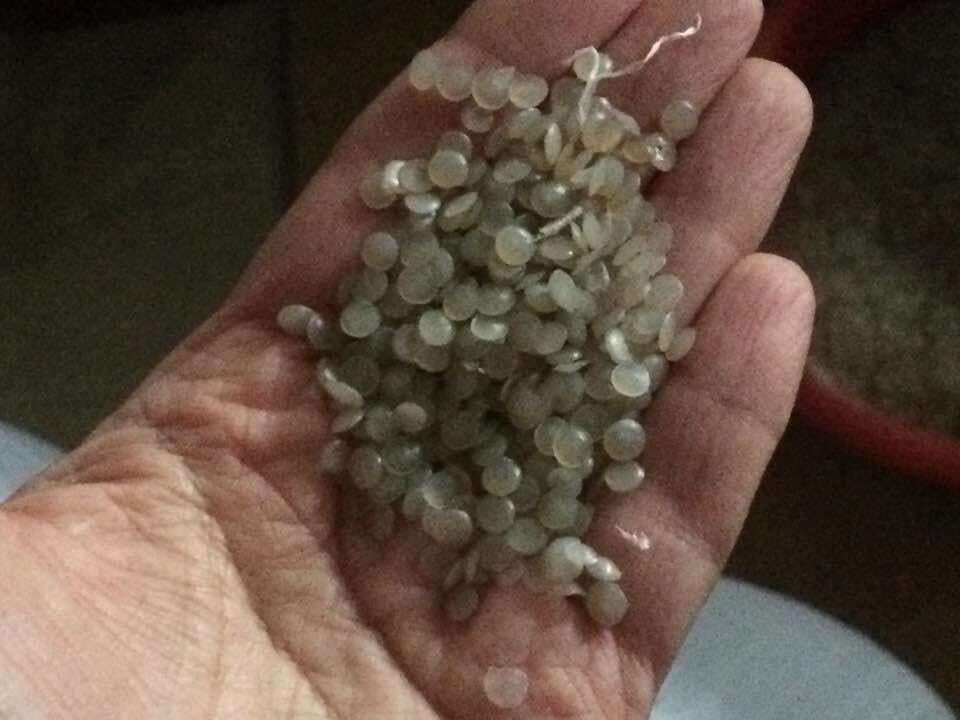 104 дні без поліетилену: у Києві відкриють пункти прийому пакетів на переробку