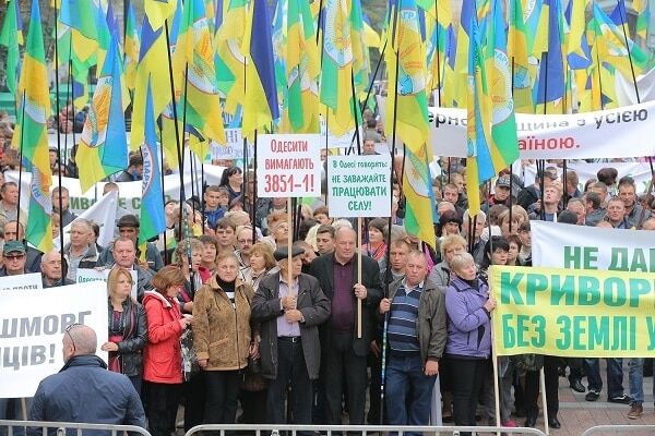 Власти нужно остановить налоговый грабеж аграриев – экономист