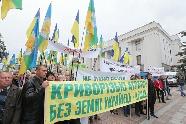 Власти нужно остановить налоговый грабеж аграриев – экономист