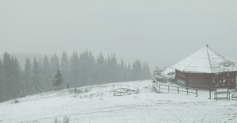 Захід України почало засипати снігом