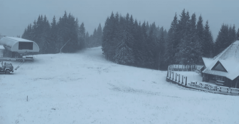 Запад Украины начало засыпать снегом: опубликованы фото и видео