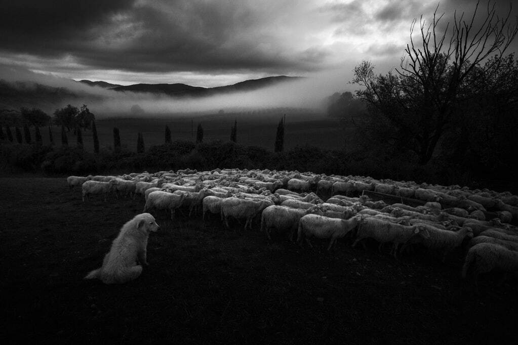 Как живут итальянские пастухи: колоритные фото бывшего горожанина
