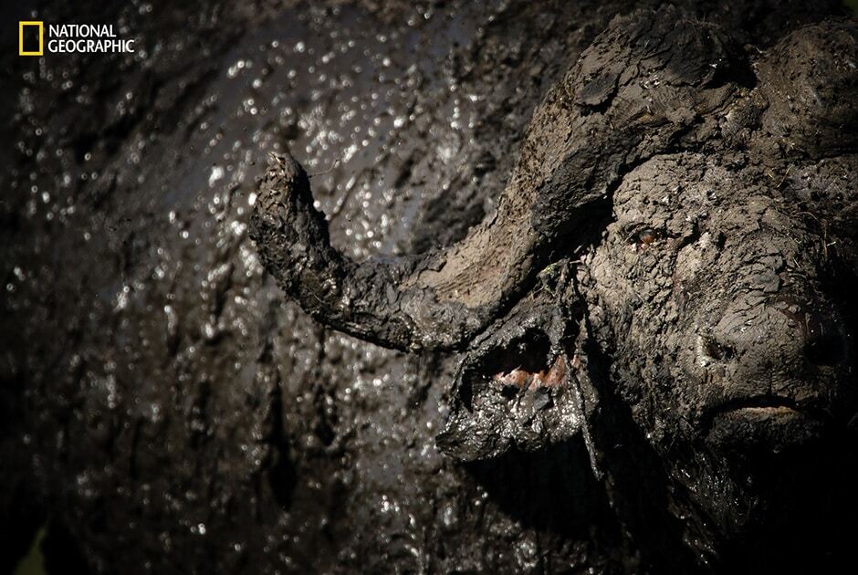 Падение лавы в океан и восхождение к звездам: National Geographic опубликовал очаровательные снимки мира природы