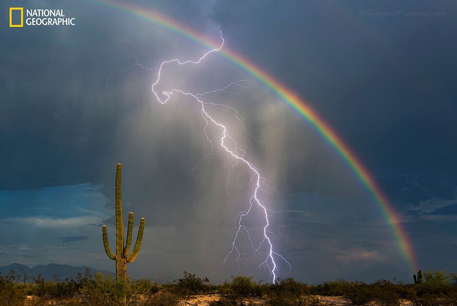 Падение лавы в океан и восхождение к звездам: National Geographic опубликовал очаровательные снимки мира природы