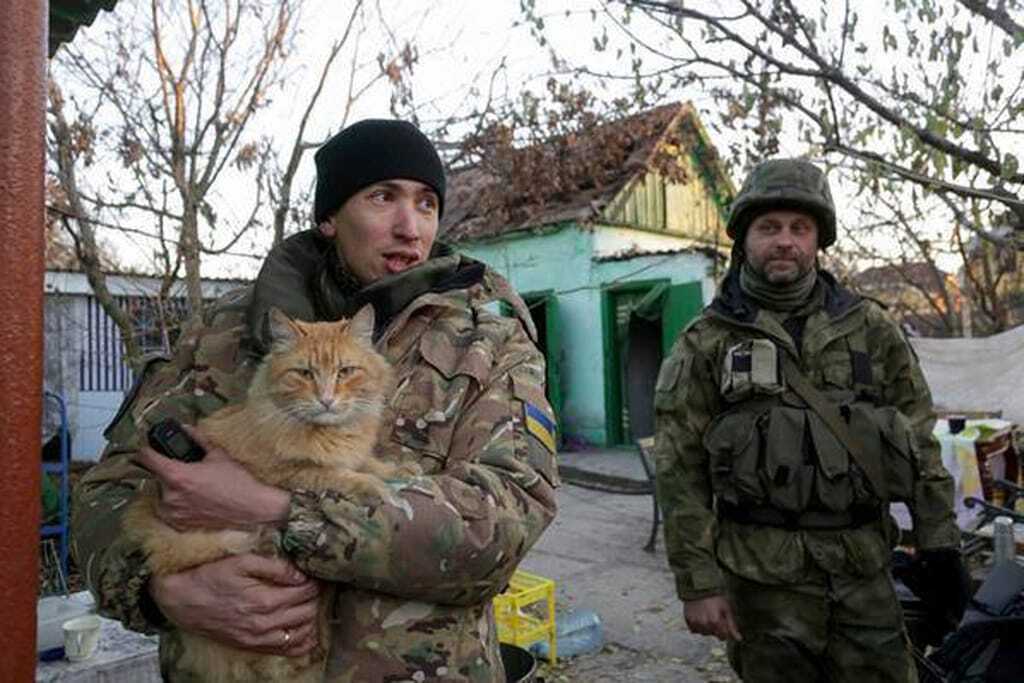 В сети показали, за что украинские военные поставят памятник котам